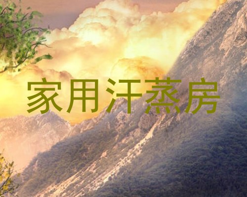 家用汗蒸房