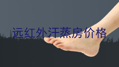 远红外汗蒸房价格