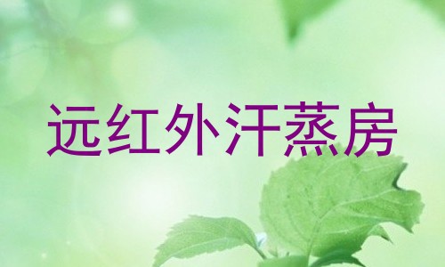 远红外汗蒸房