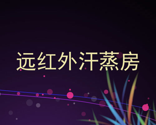 远红外汗蒸房