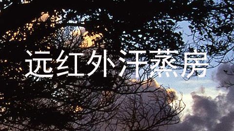 远红外汗蒸房