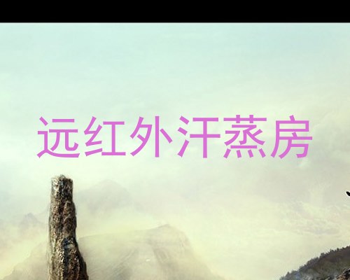 远红外汗蒸房