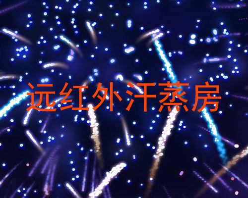 远红外汗蒸房