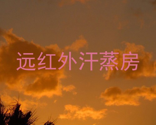 远红外汗蒸房