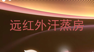 远红外汗蒸房