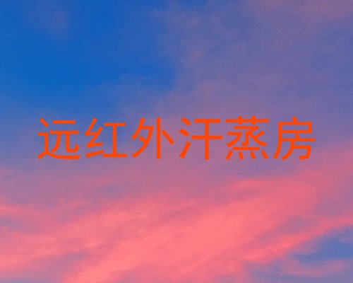 远红外汗蒸房