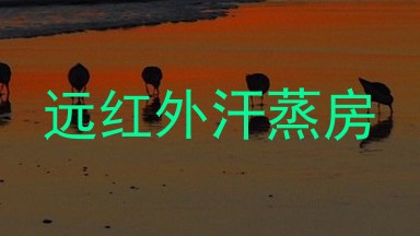 远红外汗蒸房