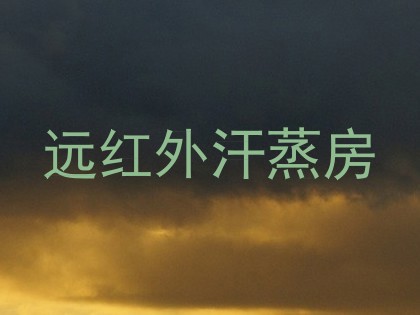 远红外汗蒸房