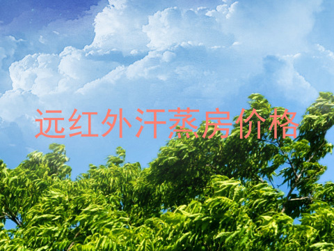 远红外汗蒸房价格