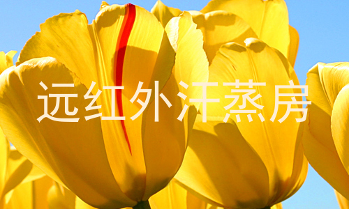 远红外汗蒸房