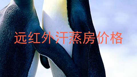远红外汗蒸房价格