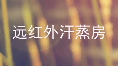 远红外汗蒸房