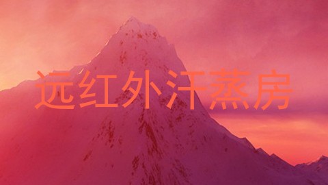 远红外汗蒸房
