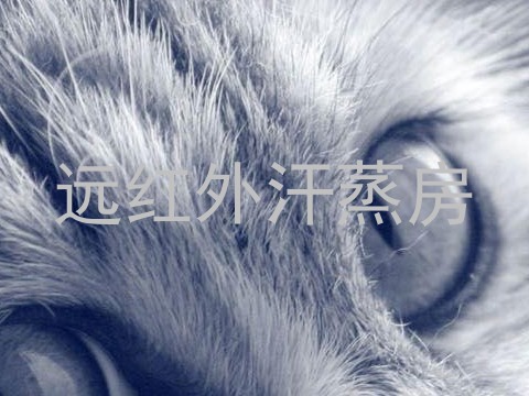 远红外汗蒸房