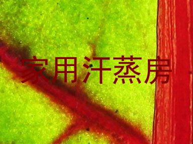 家用汗蒸房