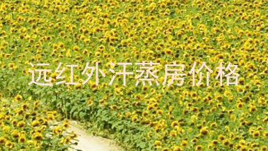远红外汗蒸房价格