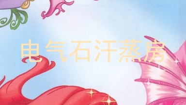 电气石汗蒸房