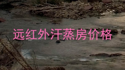 远红外汗蒸房价格