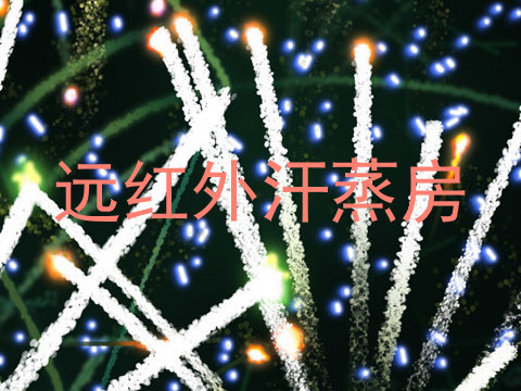 远红外汗蒸房