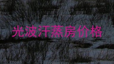 光波汗蒸房价格
