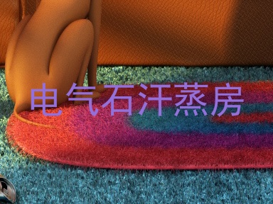 电气石汗蒸房