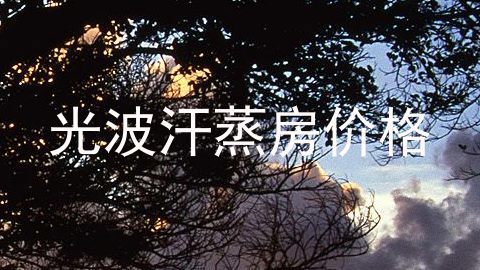 光波汗蒸房价格