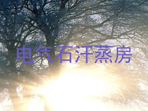 电气石汗蒸房
