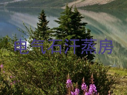 电气石汗蒸房