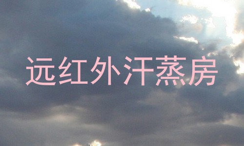 远红外汗蒸房