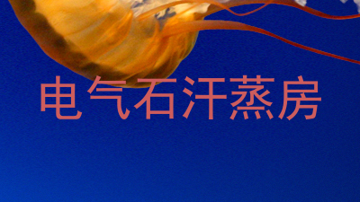电气石汗蒸房