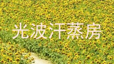 光波汗蒸房