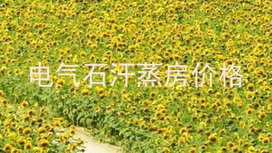 电气石汗蒸房价格
