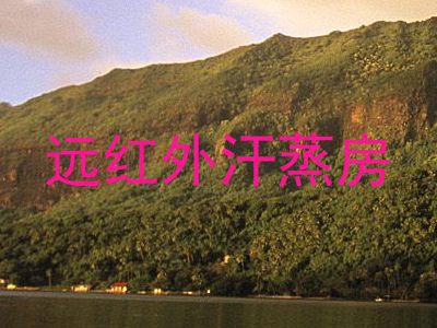 远红外汗蒸房