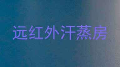 远红外汗蒸房