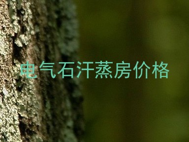电气石汗蒸房价格
