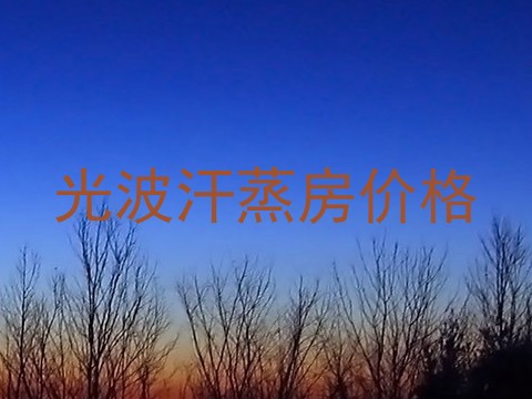 光波汗蒸房价格