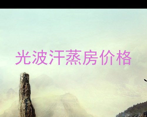 光波汗蒸房价格