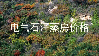 电气石汗蒸房价格