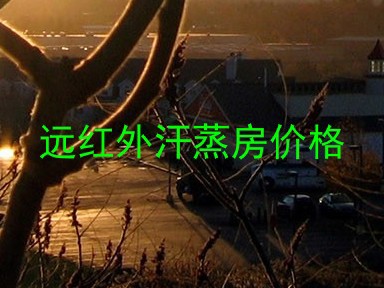 远红外汗蒸房价格