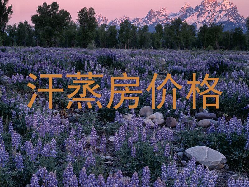 汗蒸房价格