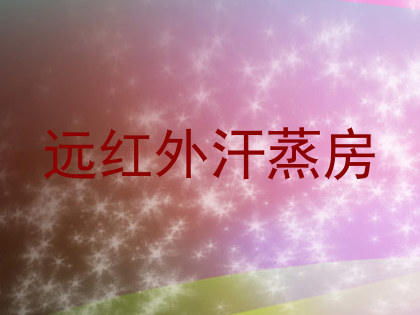 远红外汗蒸房