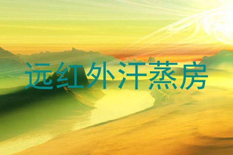 远红外汗蒸房