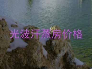 光波汗蒸房价格