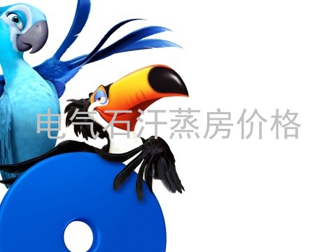 电气石汗蒸房价格