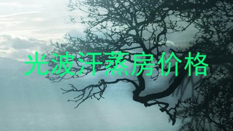 光波汗蒸房价格