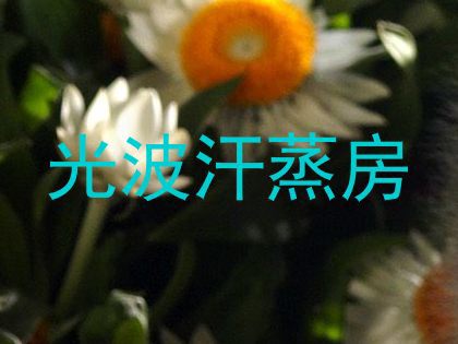 光波汗蒸房