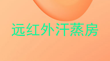 远红外汗蒸房