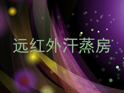 远红外汗蒸房