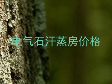 电气石汗蒸房价格