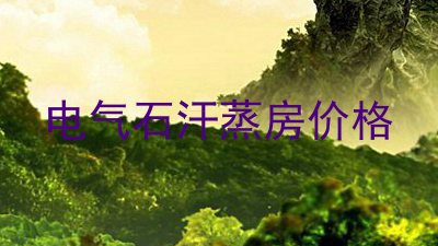 电气石汗蒸房价格